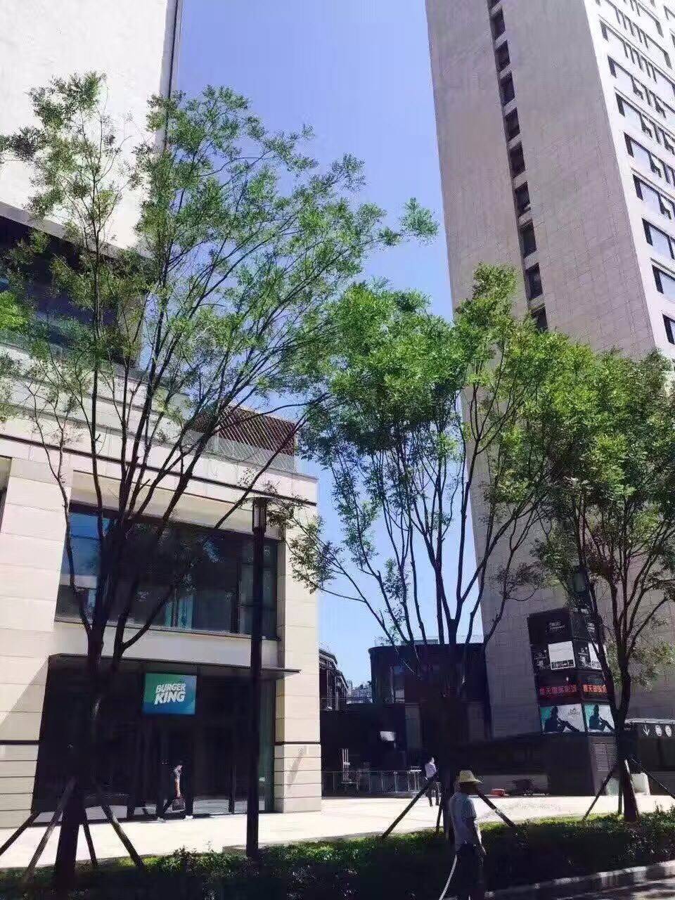 北京丰台区石榴中心写字楼间出租中心